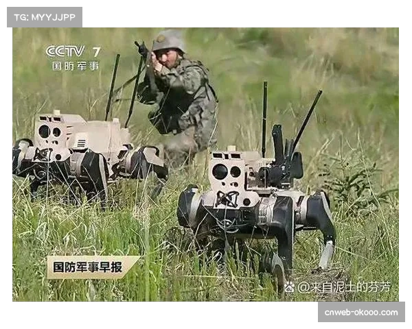 四节七人次外援政策引发战术革命，双核驱动与本土功能化趋势显著